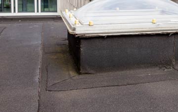 disadvantages of Nantmor flat roofs
