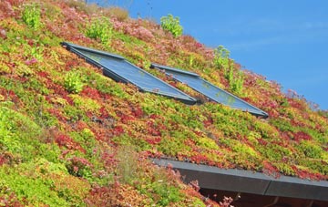 Nantmor living roof systems