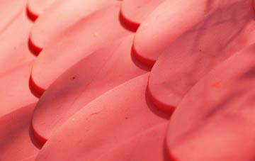 Nantmor plastic roof costs