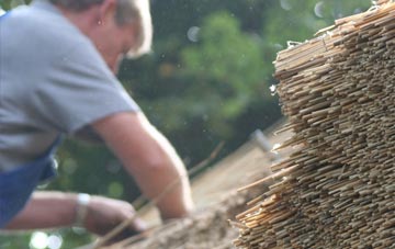 professional Nantmor thatchers