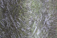 Nantmor fibreglass roof work