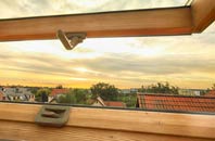 rated Nantmor roof window companies